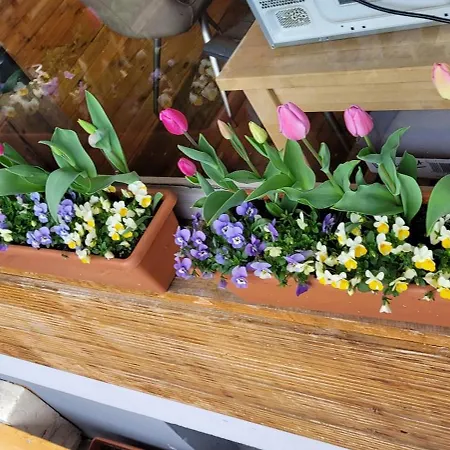 Lägenhet In Datteln